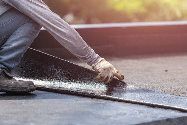 Professional Interior Drainage System technician working in Woodbine, NJ